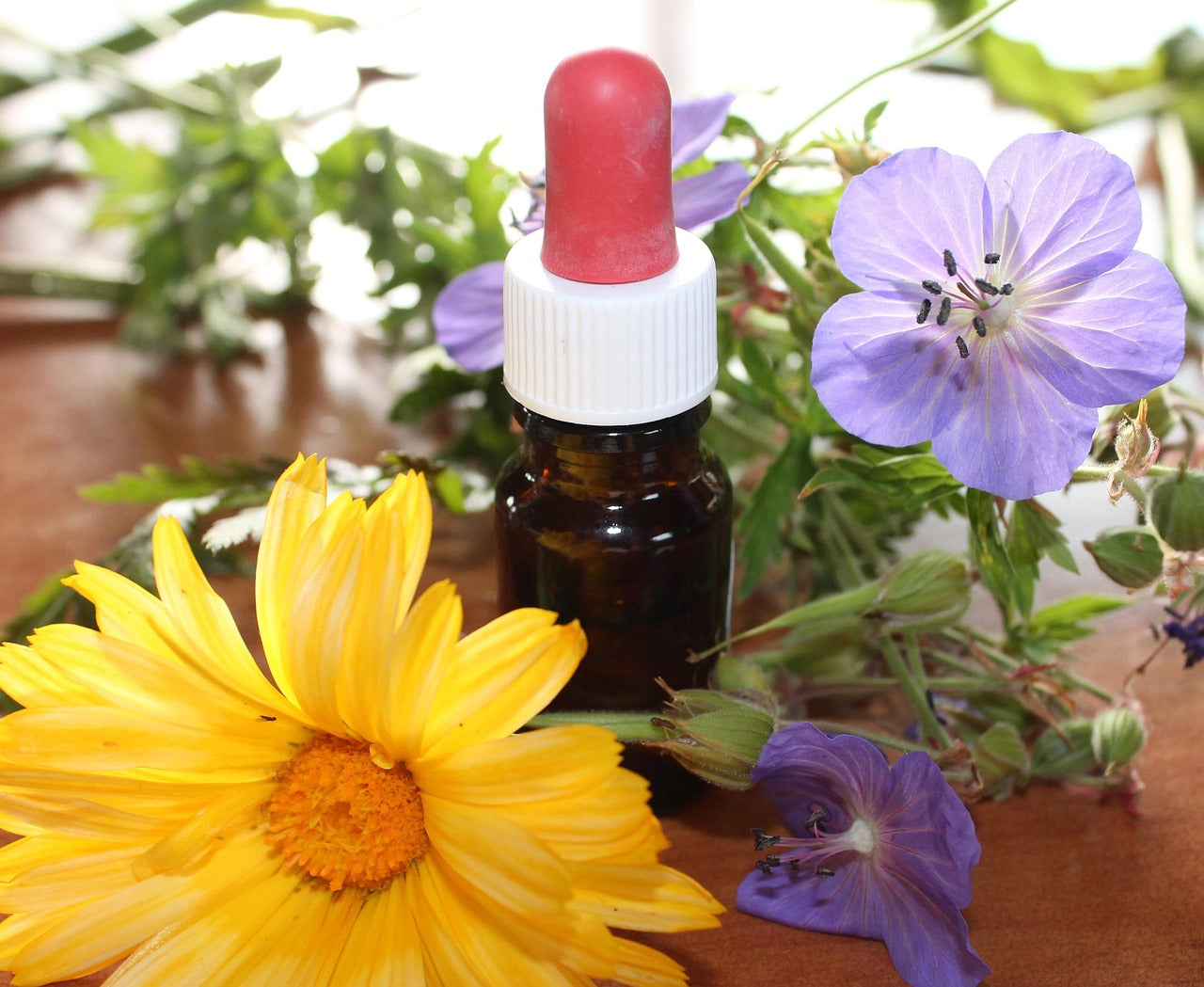 PRODUCTOS DE SALUD